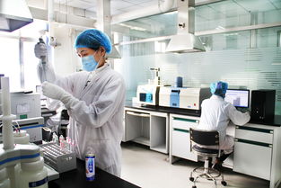 國貨記 養(yǎng)元飲品 創(chuàng)新升級只為做好 六個核桃