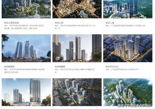 深業(yè)世紀(jì)山谷 南山核心地標(biāo)公寓，揭秘城市人居新典范